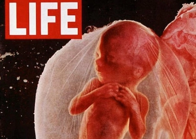 Can You Look Without Crying? Top 10 Famous Pictures of Children That Defined an Era's Pain